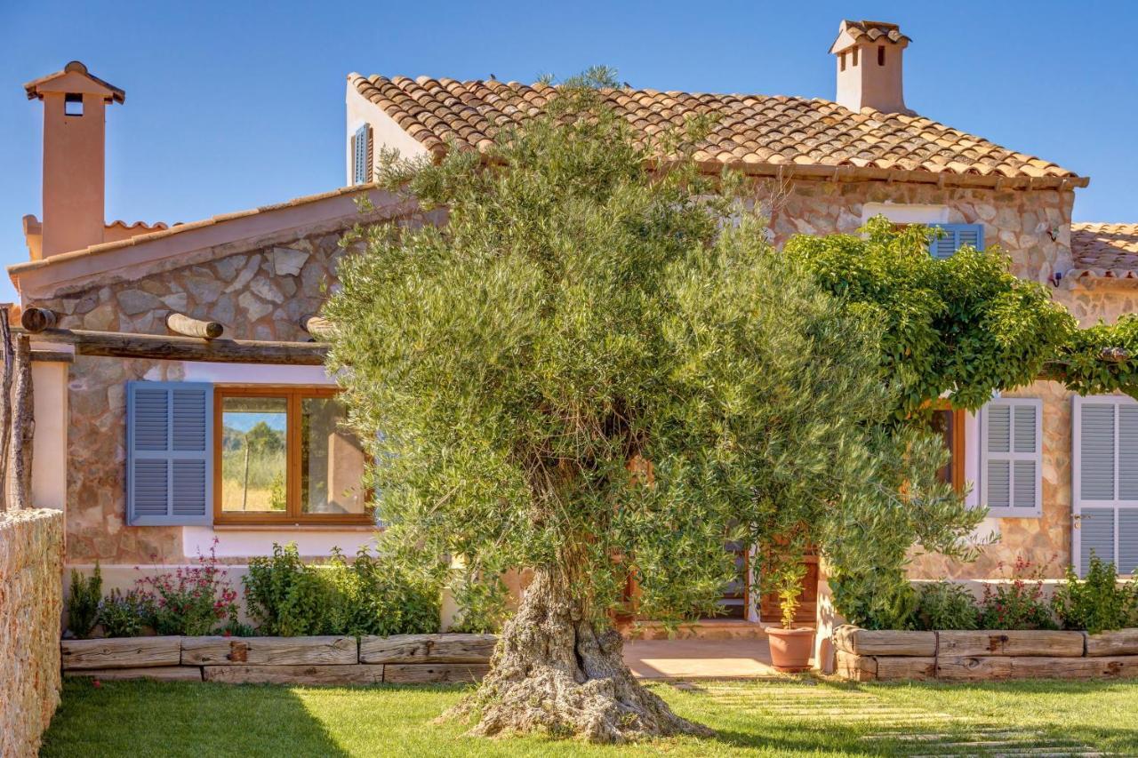 Sa Vinya Jove Biniali (Majorca)